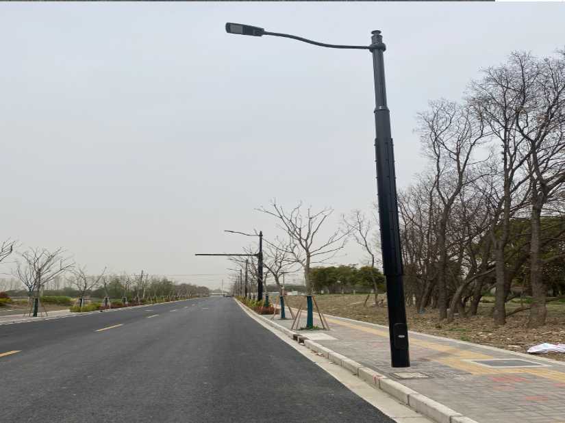 津市市上海综合杆 太阳能路灯工程